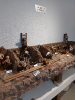 Bergwerk2022__27