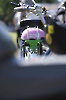 Mofa_Roller_2024__82