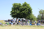 Mofa_Roller_ 2025__76
